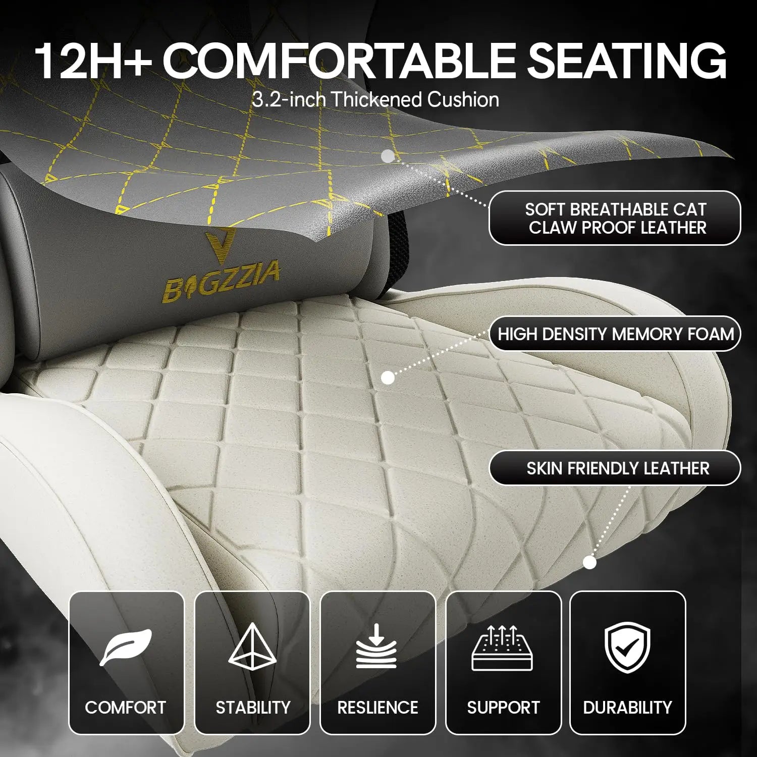 RGB Gaming Chair LED Lights and Ergonomic Reclining Chair
