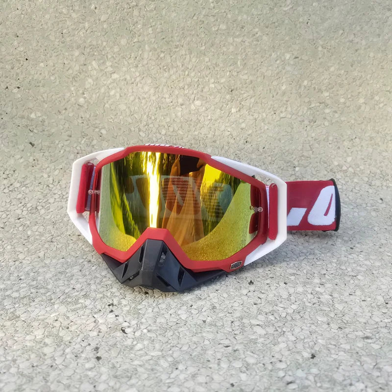 Motorcycle Goggles adults