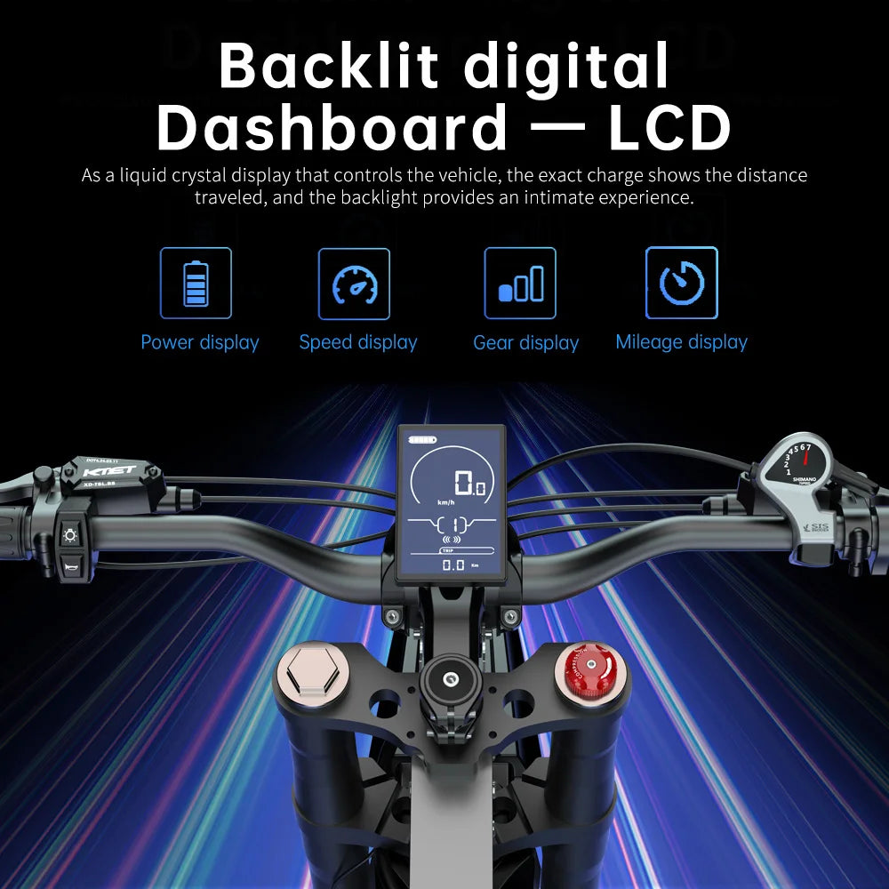 60V Brushless Gearless Adult Off-road E-Bike