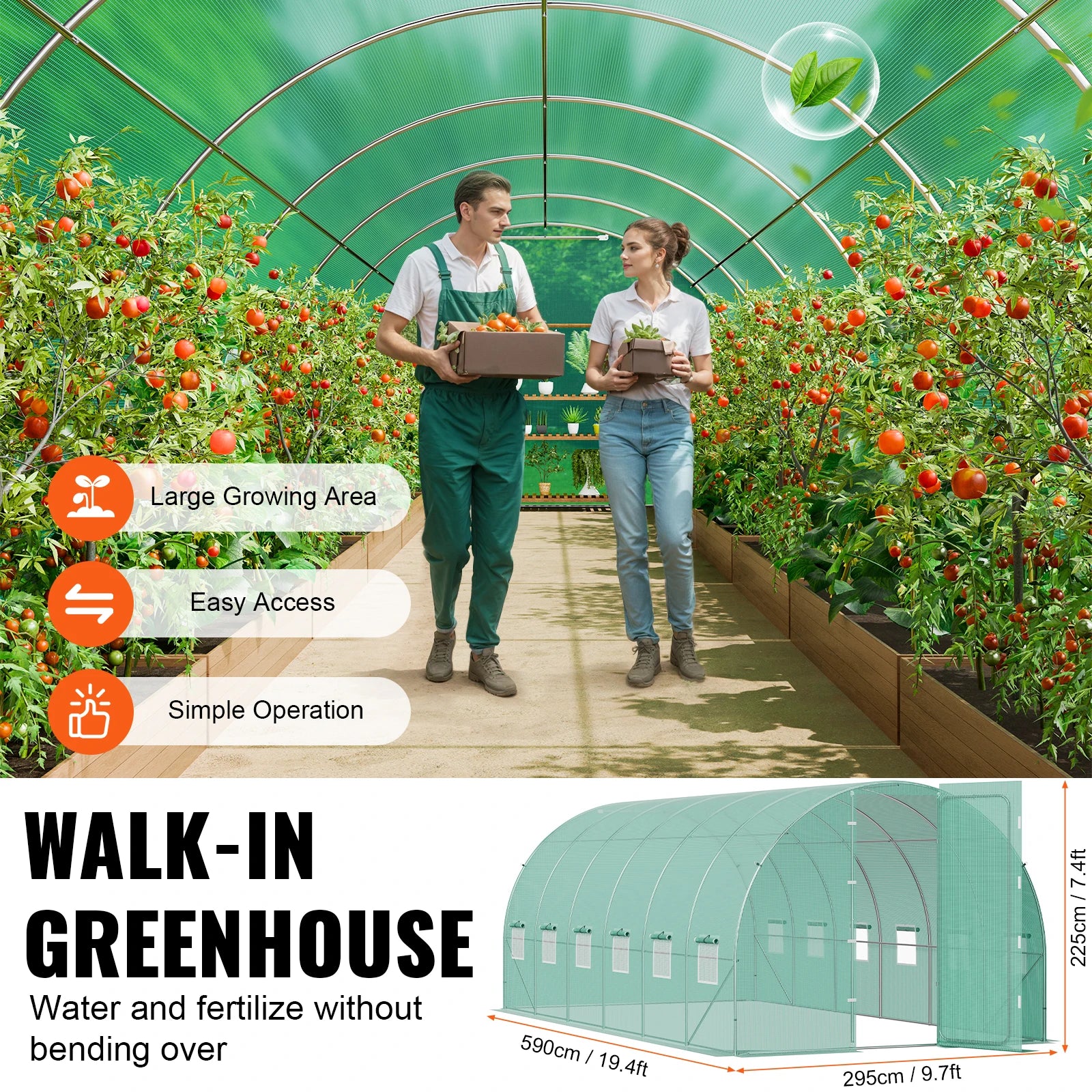 Two people walking through a greenhouse filled with tomato plants, with text highlighting features and a small greenhouse model at the bottom.