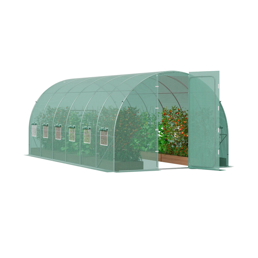 Green greenhouse with plants inside on a white background