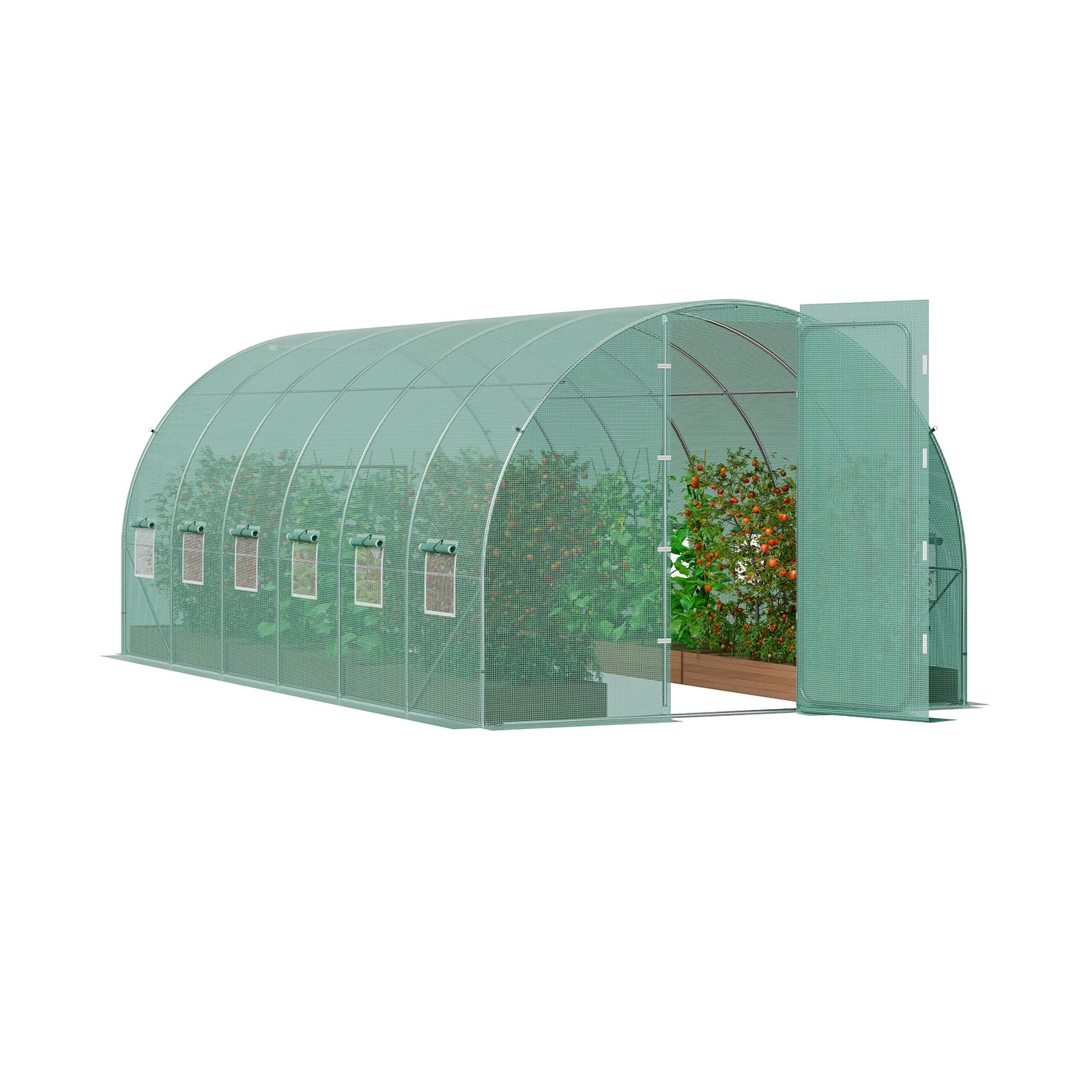 Green greenhouse with plants inside on a white background